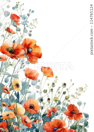 Elegant Watercolor Poppies and Wildflowers on White Background Elegant Watercolor Poppies and Wildflowers on White Background 114765124