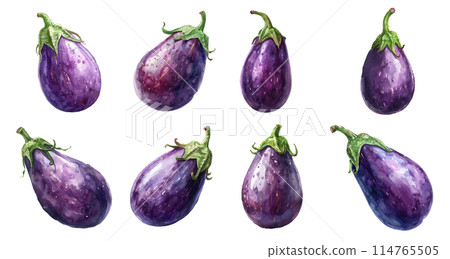 Watercolor eggplant set 114765505