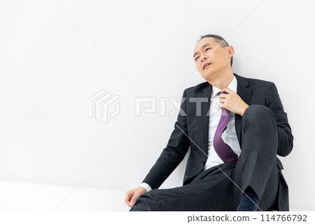 Middle-aged man, business, sitting down 114766792