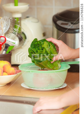 woman washing fresh vegetables in kitchen woman washing fresh vegetables in kitchen 114766828