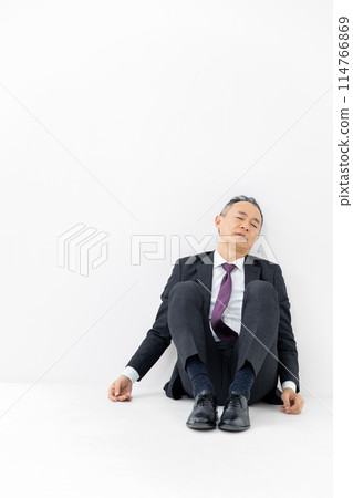 中年男子商務坐垂直 中年男子商務坐垂直 114766869