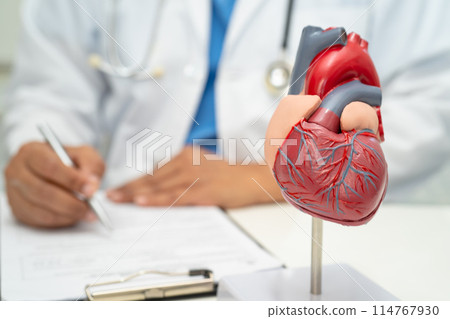 Cardiovascular disease CVD, Asian doctor holding human anatomy model for learn and treat heart disease. 114767930