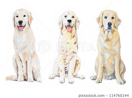 油畫風格坐金毛,狗正面插圖集,等待姿勢,油畫,AI生成圖像 油畫風格坐金毛,狗正面插圖集,等待姿勢,油畫,AI生成圖像 114768144