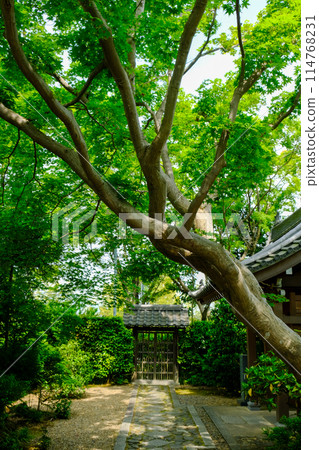 高峰源光庵 高峰源光庵 114768231