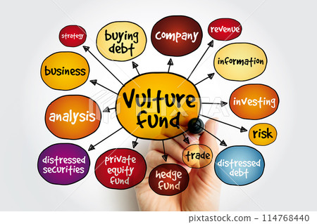 Vulture Fund is a hedge fund, that invests in debt considered to be very weak or in default, mind map concept background 114768440