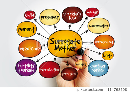 Surrogate mother mind map, concept for presentations and reports 114768508