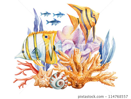 Sea fish. Animals underwater sea watercolor painting. fish, starfish, seaweed and coral Isolated. Marine concept, poster 114768557