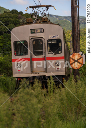 Tokyu 7200 series trains on the Oigawa Railway 114768900
