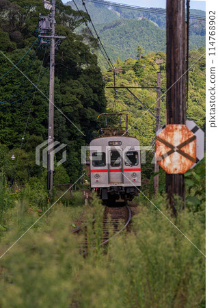 大井川鐵道東急鐵道7200系車輛 114768902