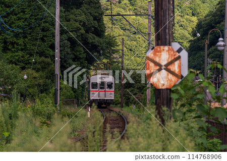 大井川鐵道東急鐵道7200系車輛 114768906