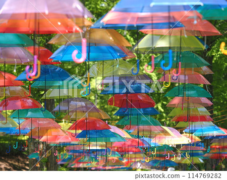 Umbrella Sky Kanra Sogo Park (Kanra DE Umbrella Sky) 114769282