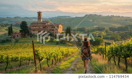 agritourism to harvesting grapes vineyard agritourism to harvesting grapes vineyard 114769434