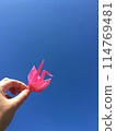 Blue sky and folding crane 114769481