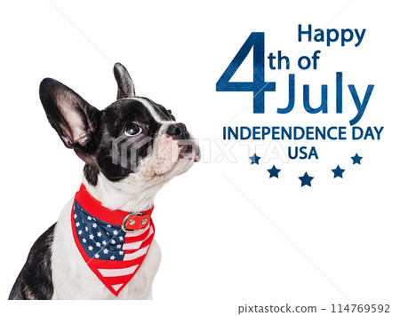 Happy Independence Day. American Flag and cute puppy Happy Independence Day. American Flag and cute puppy 114769592