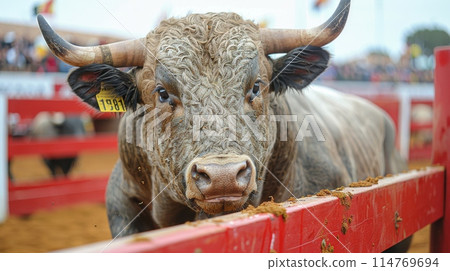 San Fermin Festival 114769694