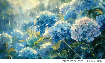 Hydrangea wet in the rain Hydrangea wet in the rain 114770092