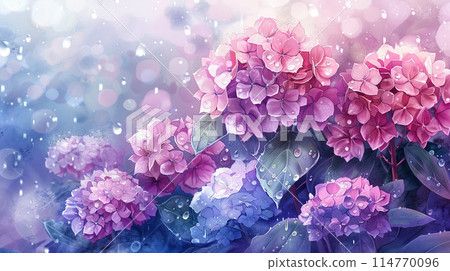 Hydrangea wet in the rain 114770096