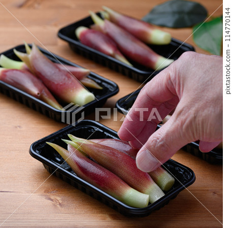 Fresh Japanese ginger (wood grain background) 114770144