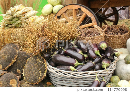 Fresh organic vegetables on farmer market. Local farm bazaar. Assortment of fresh organic harvest garden produce. Bio products, bio ecology. Natural healthy food festival. Agricultural rustic fair 114770998