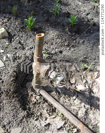 Time-beaten faucet and pipe in the garden in early spring, their weathered surfaces testify to countless seasons. 114771290