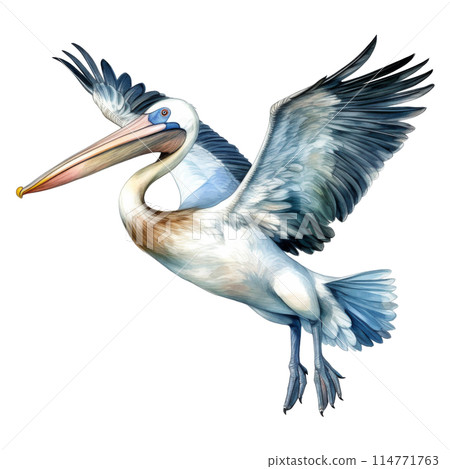 Pelican, Bird Illustration. Watercolor Style. AI Generated 114771763