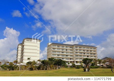 石垣島全日空洲際度假酒店花園 114771799