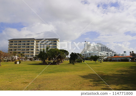 石垣島全日空洲際度假酒店花園 石垣島全日空洲際度假酒店花園 114771800