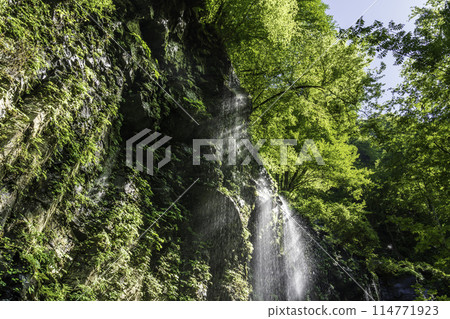 Sukkansawa Yuhi Falls Fresh greenery and rays of light 114771923