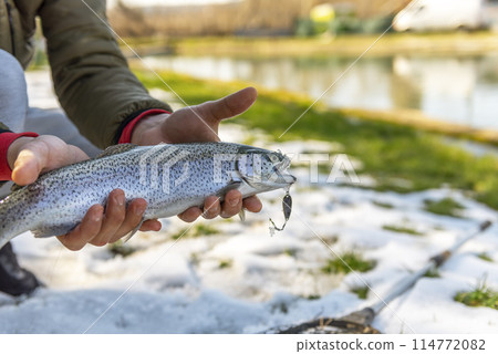 Catch of a rainbow trout by a fly fisherman in the river. 114772082