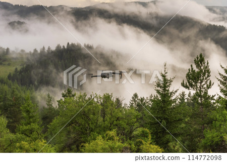 Drone with camera flying over mountain fields. 114772098