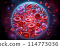 red blood cell in blood vessel 114773036