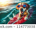 dog in swimming pool 114773038