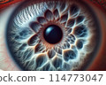 close up of eye 114773047