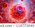 red blood cell in blood cells 114773049