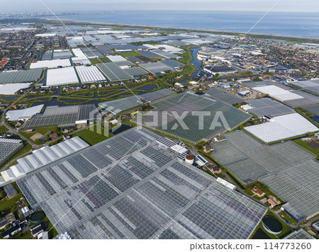 Wide Squaresd of Greenhouses located in the Netherlands, Aerial Drone view. Green Glasshouses near to Monster, Hague. Wide Squaresd of Greenhouses located in the Netherlands, Aerial Drone view. Green Glasshouses near to Monster, Hague. 114773260