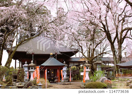 Soshinji Temple Soshinji Temple 114773636
