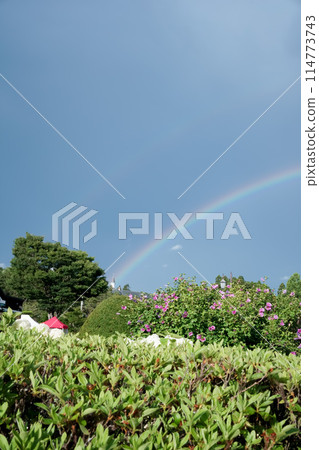 函館市民森林公園與雙彩虹 114773743
