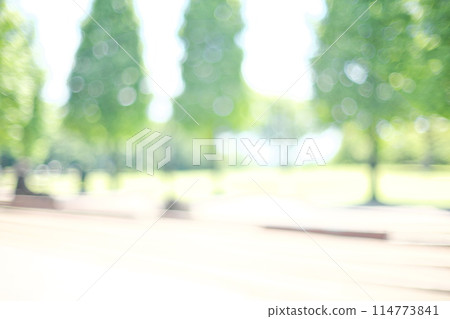 背景材料與明亮的綠色長廊的柔和模糊 背景材料與明亮的綠色長廊的柔和模糊 114773841