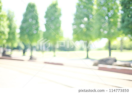 背景材料與明亮的綠色長廊的柔和模糊 114773850