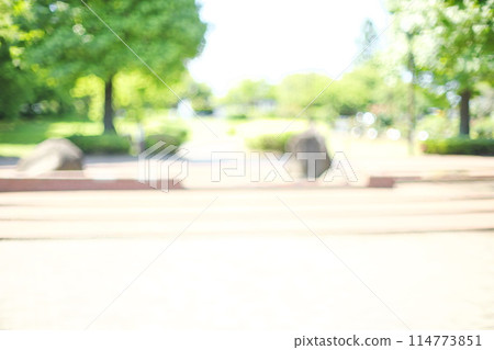 背景材料與明亮的綠色長廊的柔和模糊 114773851