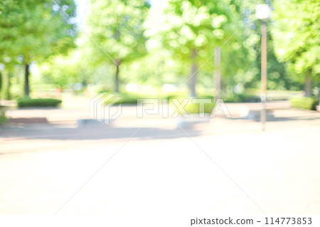 背景材料與明亮的綠色長廊的柔和模糊 背景材料與明亮的綠色長廊的柔和模糊 114773853