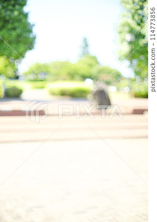 背景材料與明亮的綠色長廊的柔和模糊 背景材料與明亮的綠色長廊的柔和模糊 114773856