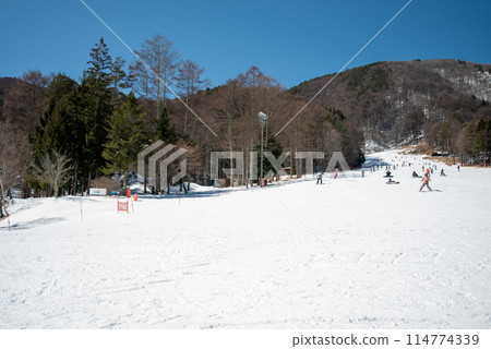 Beautiful snowy mountains and sunny ski slopes 114774339