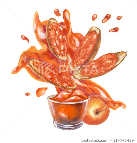 Apricot orange jam on a piece of bread, poured in waves and splashes. Watercolor illustration for design templates of sweet harvest, summer fruits, juices, canned food, marmalade and sweets Apricot orange jam on a piece of bread, poured in waves and splashes. Watercolor illustration for design templates of sweet harvest, summer fruits, juices, canned food, marmalade and sweets 114775439