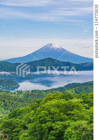 [神奈川縣]新鮮綠色箱根的富士山 114775638