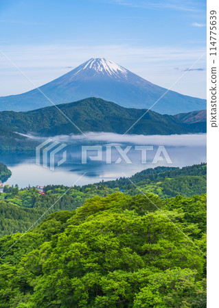 <Kanagawa Prefecture> From the fresh greenery of Hakone to Mount Fuji 114775639