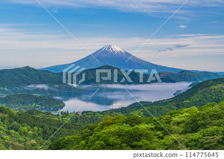 [神奈川縣]新鮮綠色箱根的富士山 114775645