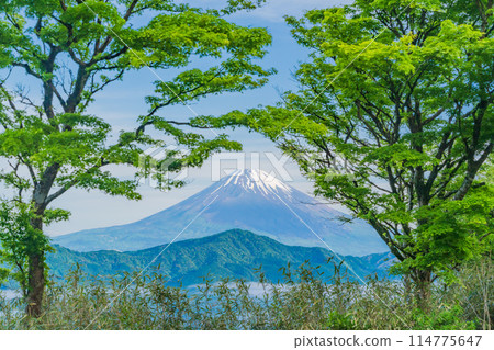 <Kanagawa Prefecture> From the fresh greenery of Hakone to Mount Fuji <Kanagawa Prefecture> From the fresh greenery of Hakone to Mount Fuji 114775647