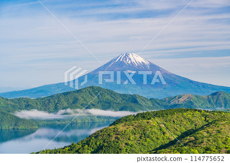 [神奈川縣]新鮮綠色箱根的富士山 114775652