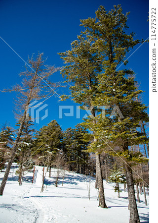 Beautiful scenery seen on a clear, snowy mountain Beautiful scenery seen on a clear, snowy mountain 114775722